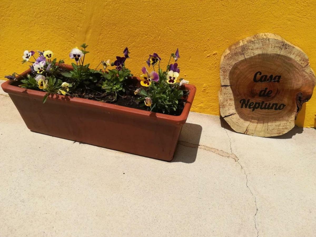 Casa Neptuno Villa Rabo de Peixe Bagian luar foto
